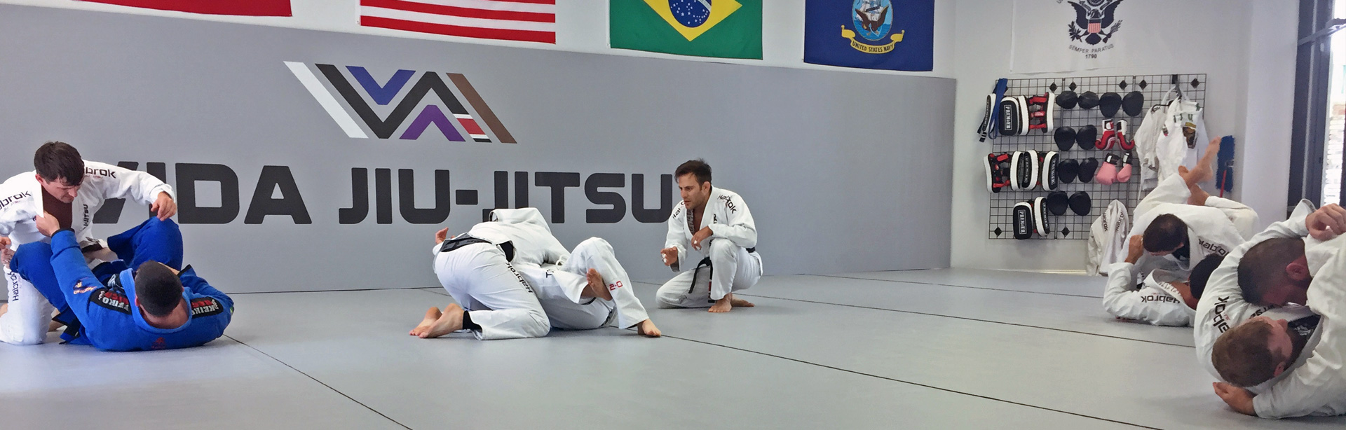 Vida Brazilian Jiu-jitsu Schedule