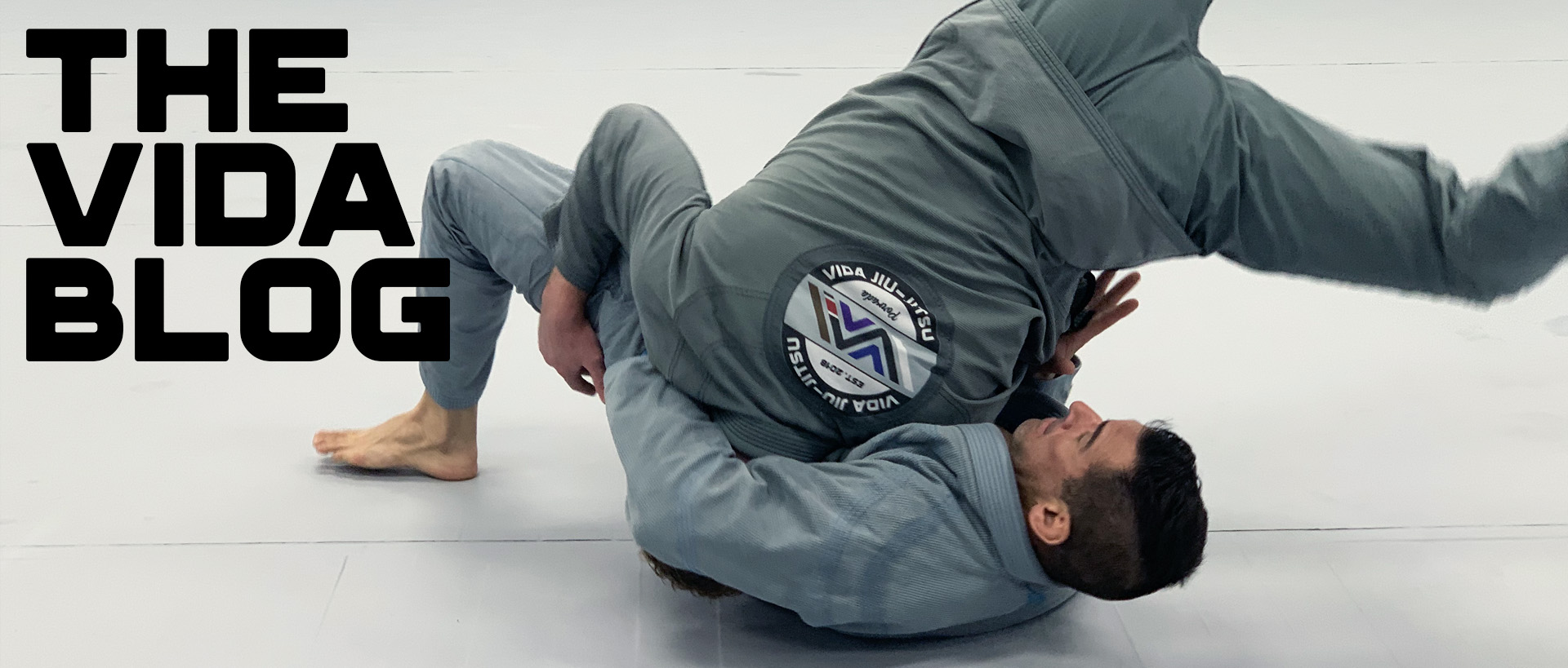 vida-bjj-header-blog