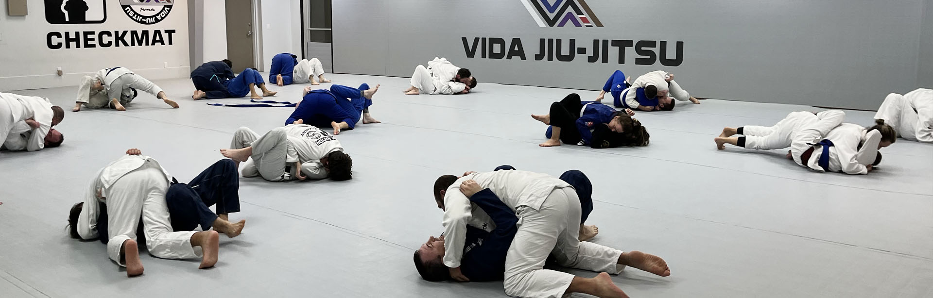 vida-bjj-header-adult-bjj-1